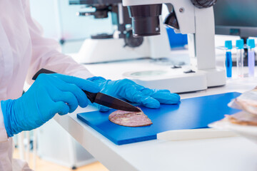 Inspection of meat and fish quality in the food quality laboratory