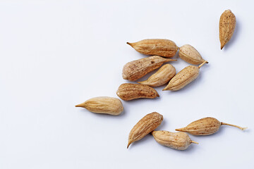 Dry daikon pods on a white background close-up