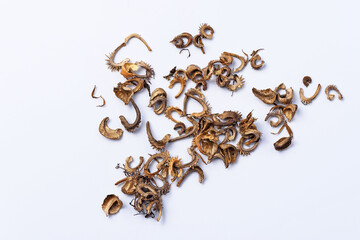 Dry seeds of garden flowers on a white background close-up