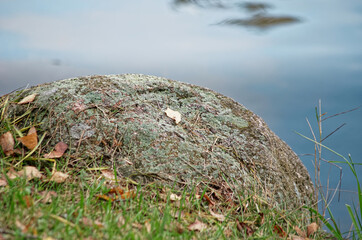 boulders on the shore