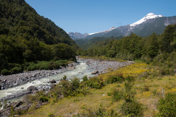 rivière de montagne au Chili avec des prairies et une forêt sur les côtés et des montagnes enneigées au loin