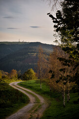 Asturian mountain, forest at the foreground with a path of grave.