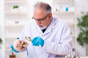 Old senior anthropologist working in the lab