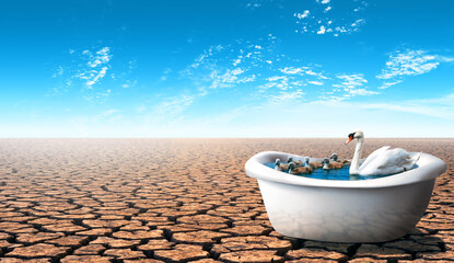 Swan and her babies inside a bathtub in a dry hot desert. Global warming conceptual theme.