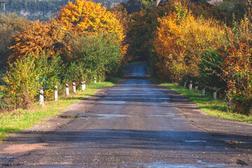 Fototapeta na wymiar autumn road leading to the wild forest