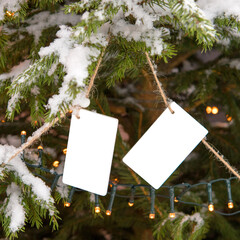 Snow-covered branches of a Christmas tree, a luminous garland, decoration mockup