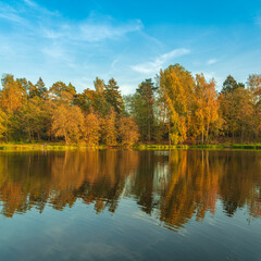 Fototapeta na wymiar Autumn trees reflected in water in Moscow Region, Russia