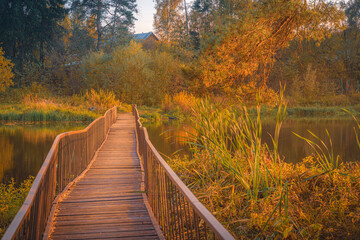 Fototapeta na wymiar Autumn landscape with trees and bridge over the river in Moscow Region, Russia