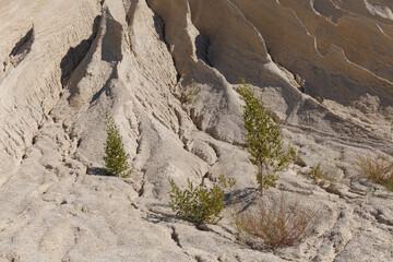 Sand slopes of abandoned quarry. Rummu, Estonia