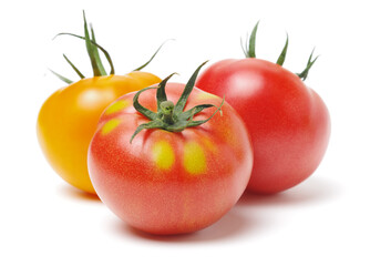 Fresh tomatoes on white background.