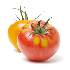 Fresh tomatoes on white background.