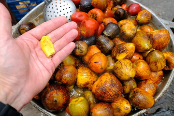 Costa Rica Arenal Volcano and La Fortunaa - Cooked Peach palm fruit - Bactris gasipaes - Pejibaye