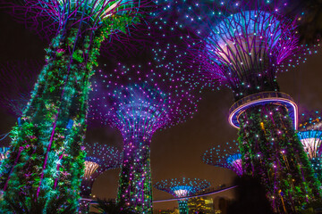 Fototapeta na wymiar SINGAPORE, 3 OCTOBER 2019: The Supertrees of Gardens by the bay
