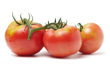 fresh tomato isolated on white background