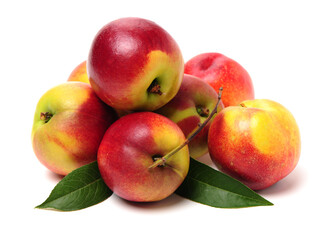 nectarine on a white background