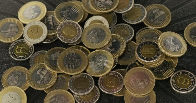 Coins from on a metal tray, Hungarian forint currency