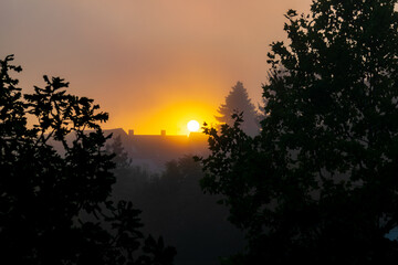 Morning over the Rooftops