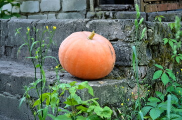 A small round pumpkin stands on the doorstep of the house.  Photo of vegetables.  Autumn harvest.