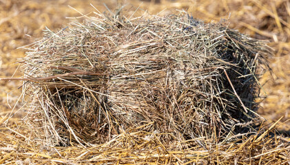 Dry haystack in the field.