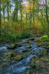 Stromschnellen der Düssel im Wald bei Haan Gruiten