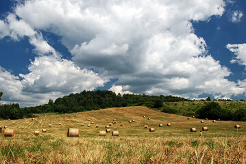 krajobraz, niebo, pola, charakter, lato, blękit, zieleń, chmura, obszarów wiejskich, chmura, rolnictwa, farma, siano, horyzont, górka, pastwisko, kraina