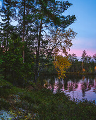 Autumn in Karelia