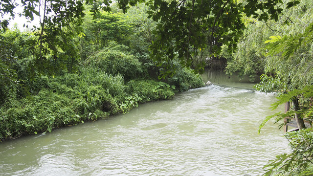 landscape of stream and forest in Thailand