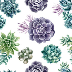Pattern succulents painted with watercolor on a white background. Color cacti. A stone rose. Flowers from the desert.