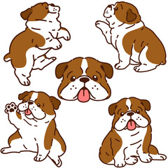 Set of adorable illustrations of dark brown British Bulldog with outlines