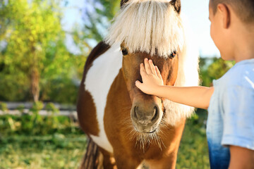 Little boy stroking cute pony outdoors on sunny day, closeup