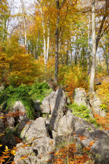 Obraz premium Beautiful Felsenmeer natural preserve in Hemer, Sauerland, Germany