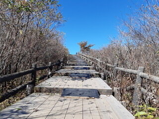 歩いた先にあるのは...