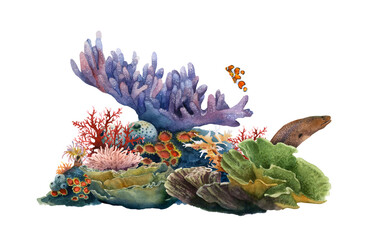 Corals group with a moray and tropical fishes hand drawn in watercolor isolated on a white background. Watercolor illustration. 