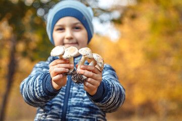 boletus in the boy's hands. looking for mushrooms in the autumn forest