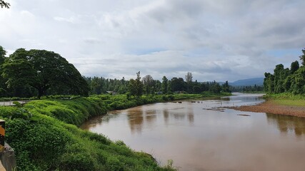 Fototapeta premium river in the forest