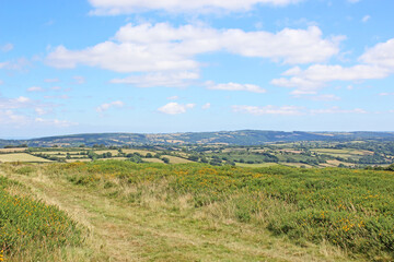 Naklejka premium Meldon Hill on Dartmoor, Devon 
