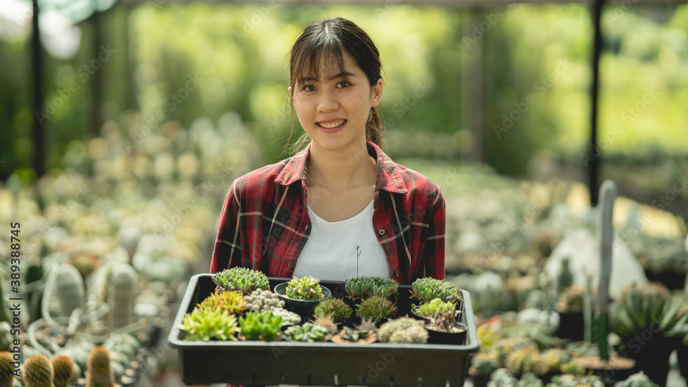 Wall mural women carrying baskets cactus in hand farming in thailand, focusing on the face