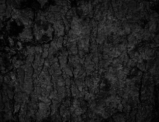 
Black old bark background There are cracks, the texture of the old bark makes the natural beauty of the old trees with beautiful bark in the summer.