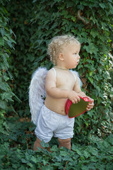 Little cupid peeping out from behind the ivy leaves while standing and holding a heart-shaped box.