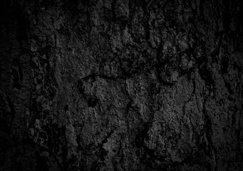 
Black old bark background There are cracks, the texture of the old bark makes the natural beauty of the old trees with beautiful bark in the summer.