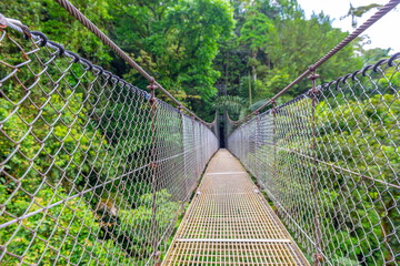 Blur - Arenal Hanging Bridges, hiking in green tropical jungle, Costa Rica, Central America.