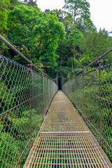 Arenal Hanging Bridges, hiking in green tropical jungle, Costa Rica, Central America.