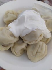 Fototapeta na wymiar dumplings on a plate