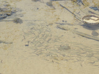 The stunning beaches, islands and turquoise ocean outside of Sihanoukville (Kampong Som) in Cambodia, Asia
