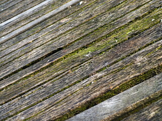Old wood texture, The old pier