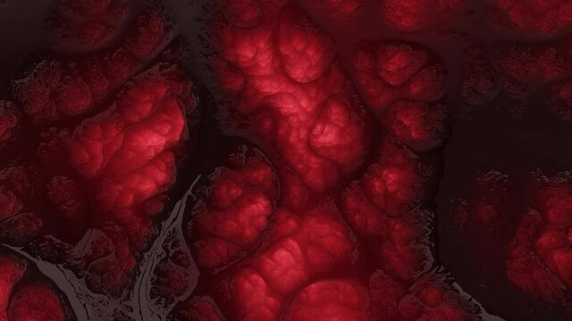 Red Organic  mutant muscle tissue 2
