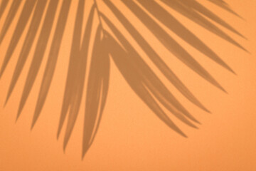 Realistic and organic tropical leaves natural shadow overlay effect on on Orange texture background.