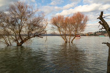 İmage from Gölyazı Lake