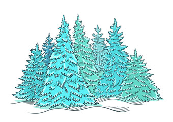 Christmas tree forest sketch. Blue conifer spruce. New year fir-tree postcard. Hand drawn vector.