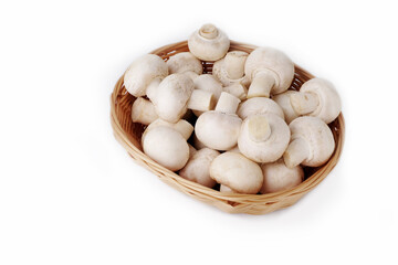 Fototapeta na wymiar Fresh champignon mushrooms on white, isolated, closeup. Space for text